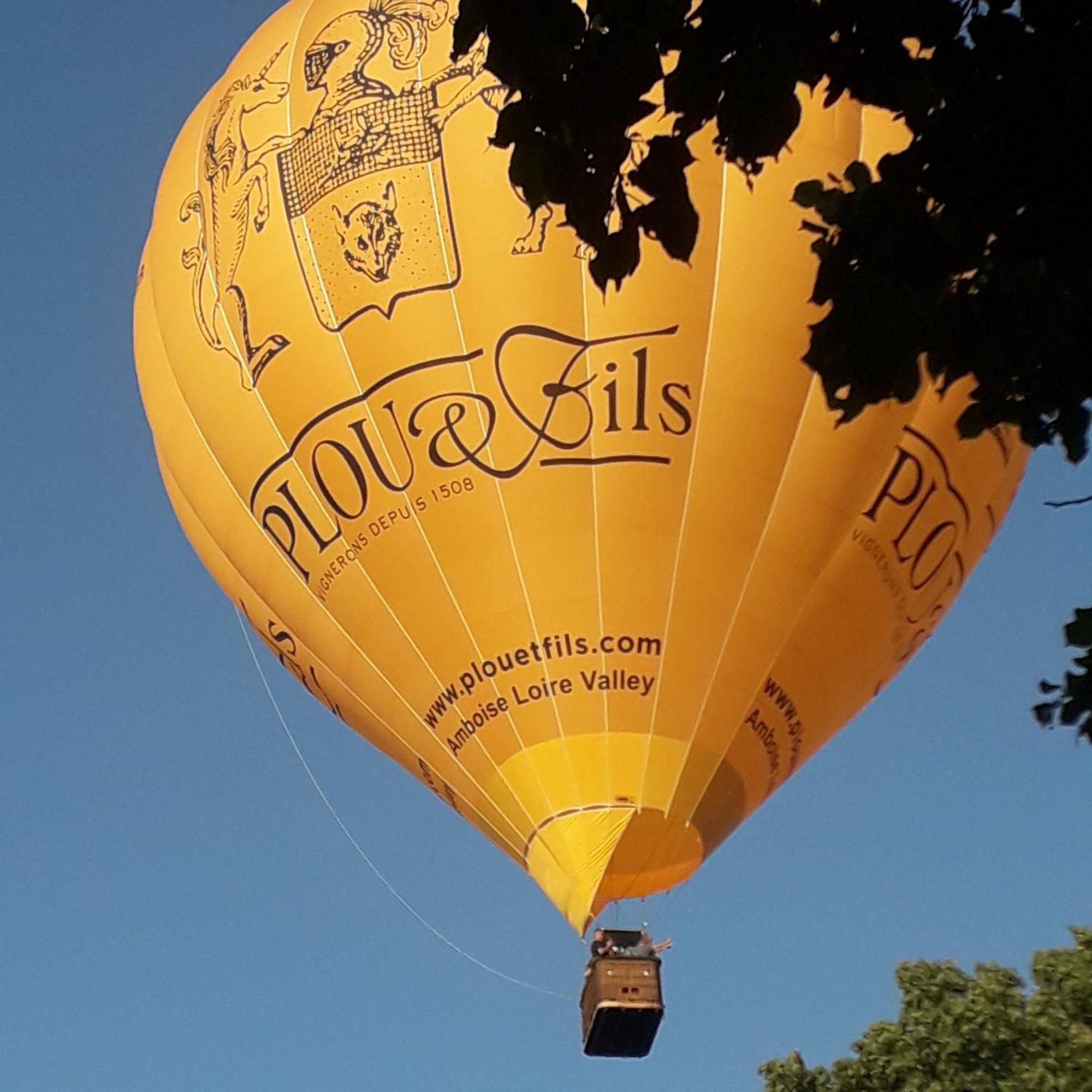 Villa Le Clos De Mosny อองบวส ภายนอก รูปภาพ
